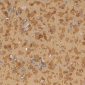 Линолеум коммерческий гетерогенный Tarkett Acczent Pro Mineral 100011 2 мм 2х20 м